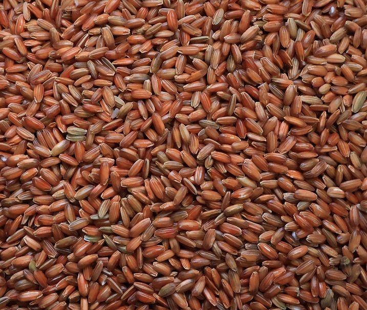 Kattuyanam காட்டுயானம்