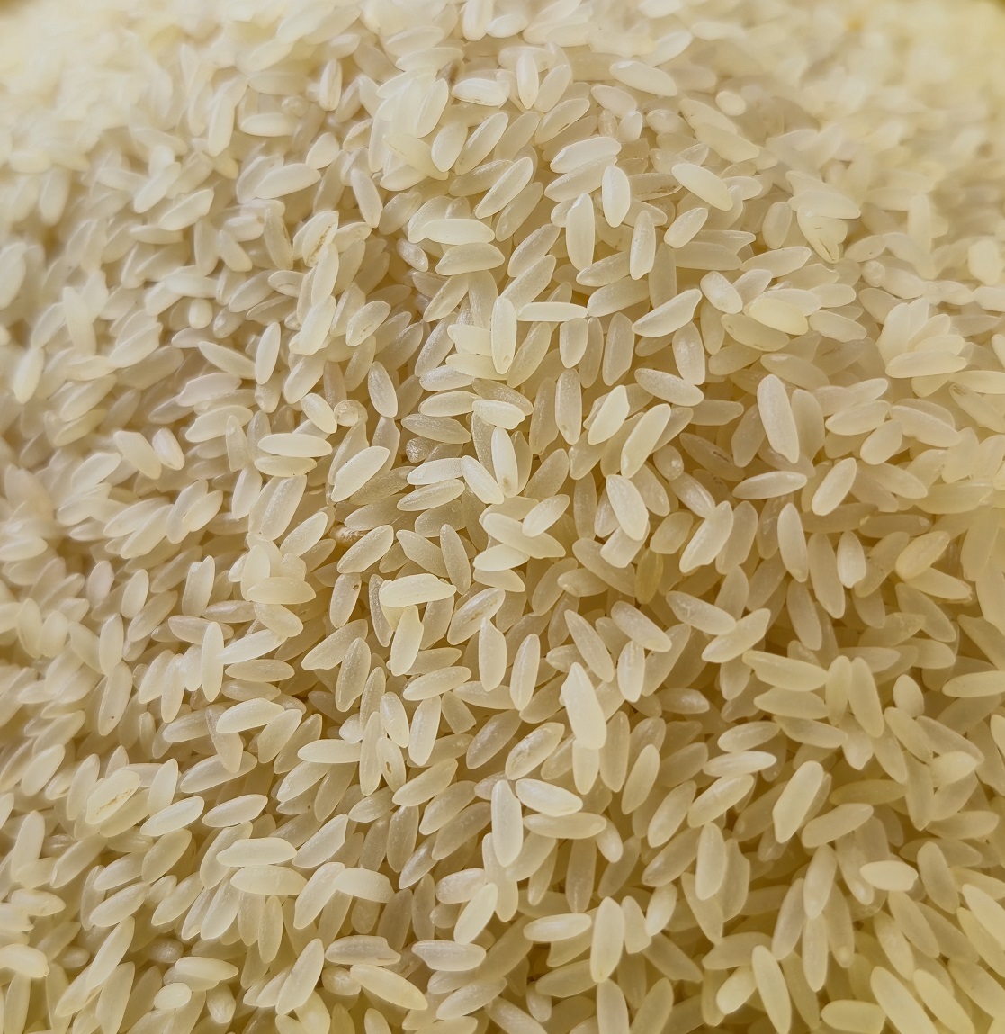 Thanga Samba தங்க சம்பா (Boiled)
